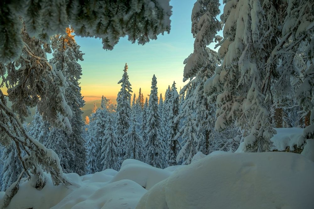 Photograph by Елена Перминова