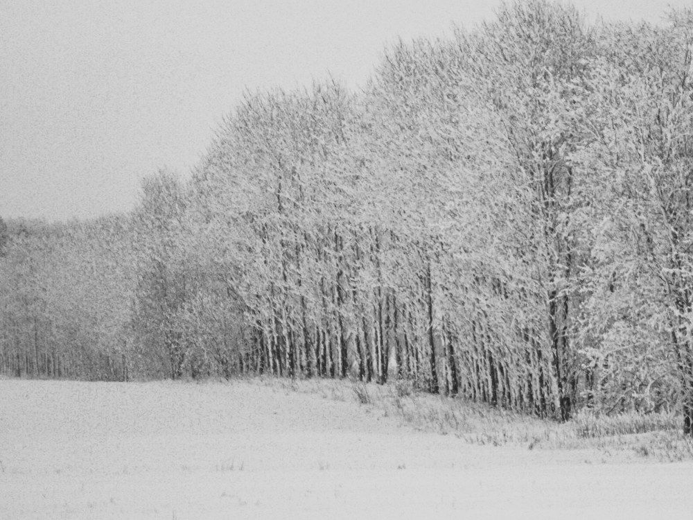 Photograph by ALEKSEY