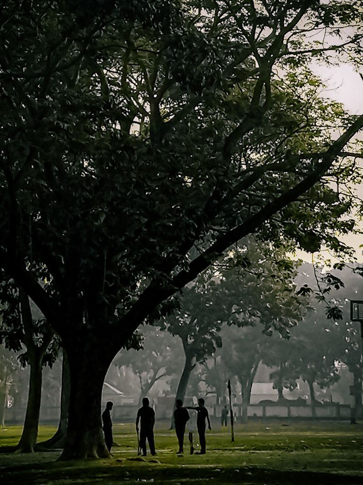 Photograph by খন্দকার সিয়াম