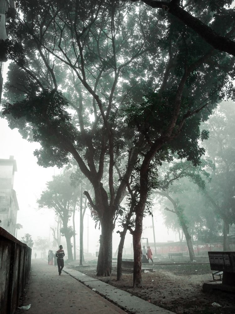 Photograph by খন্দকার সিয়াম