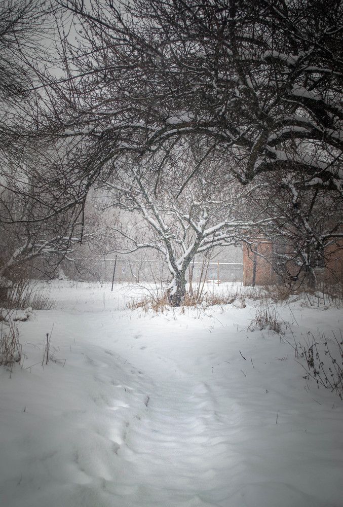 Зимняя сказка