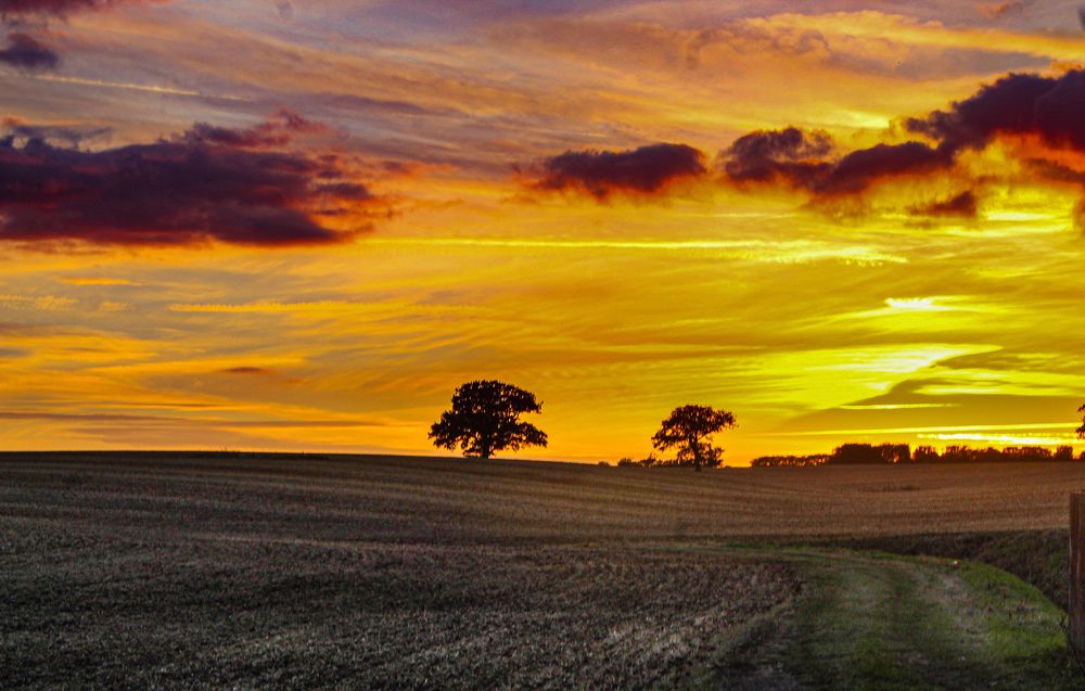 Photograph by Gareth Lines