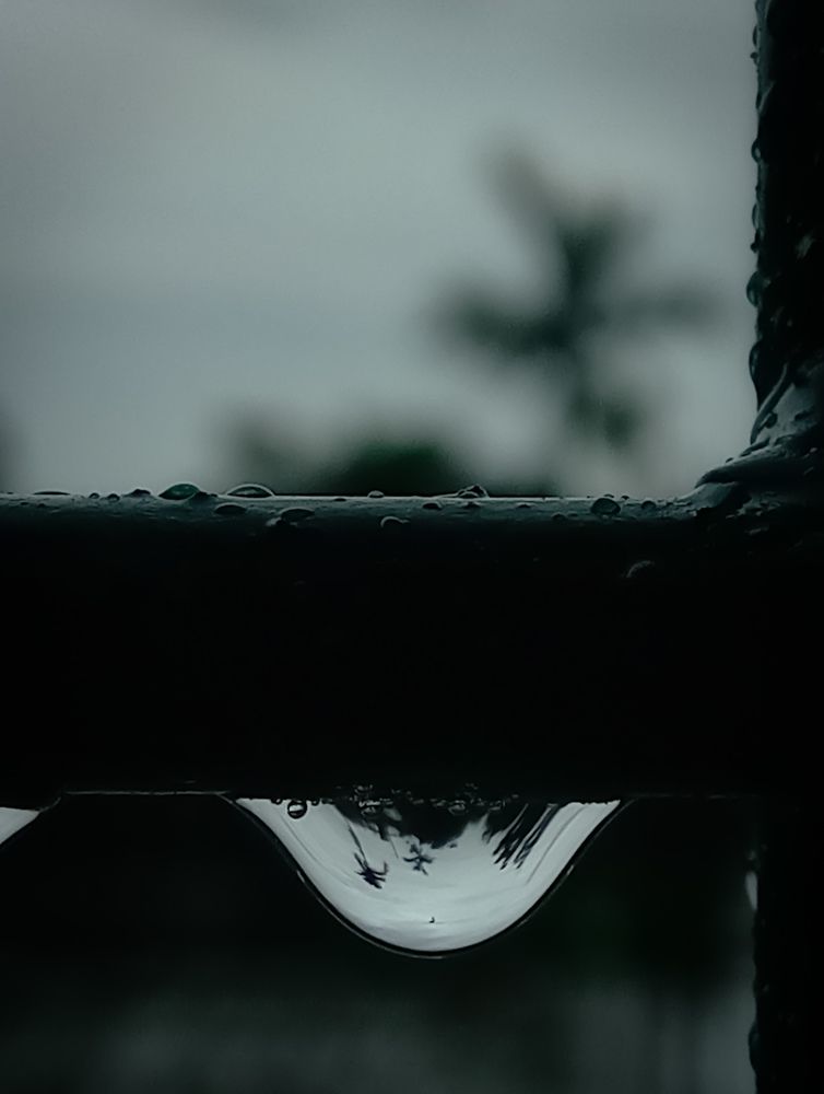 Photograph by খন্দকার সিয়াম