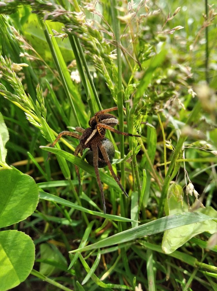 Photograph by Анастасия