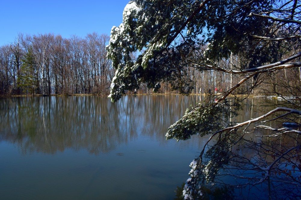 Природа под снега