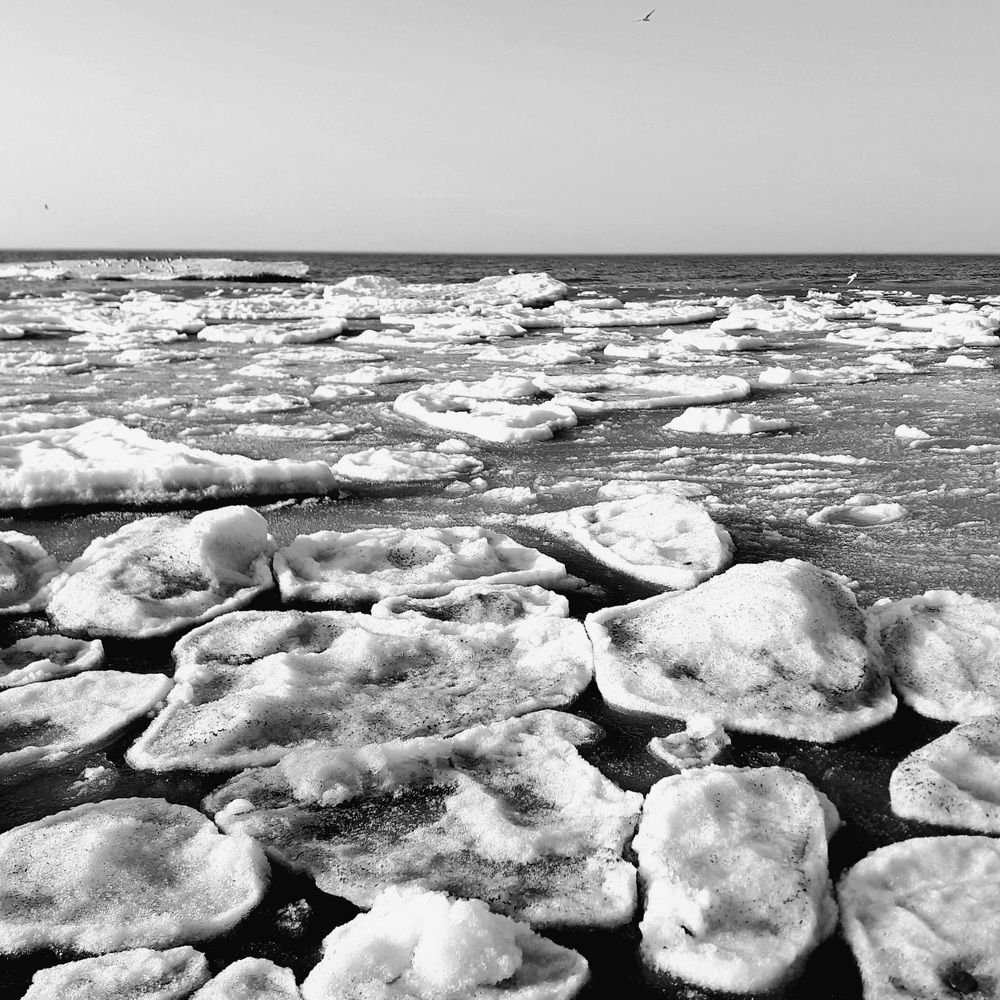 Photograph by Ламейко Светлана