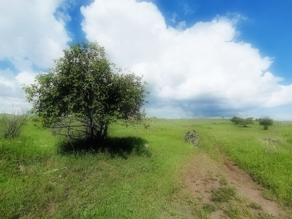 Photograph by Алексей Житников