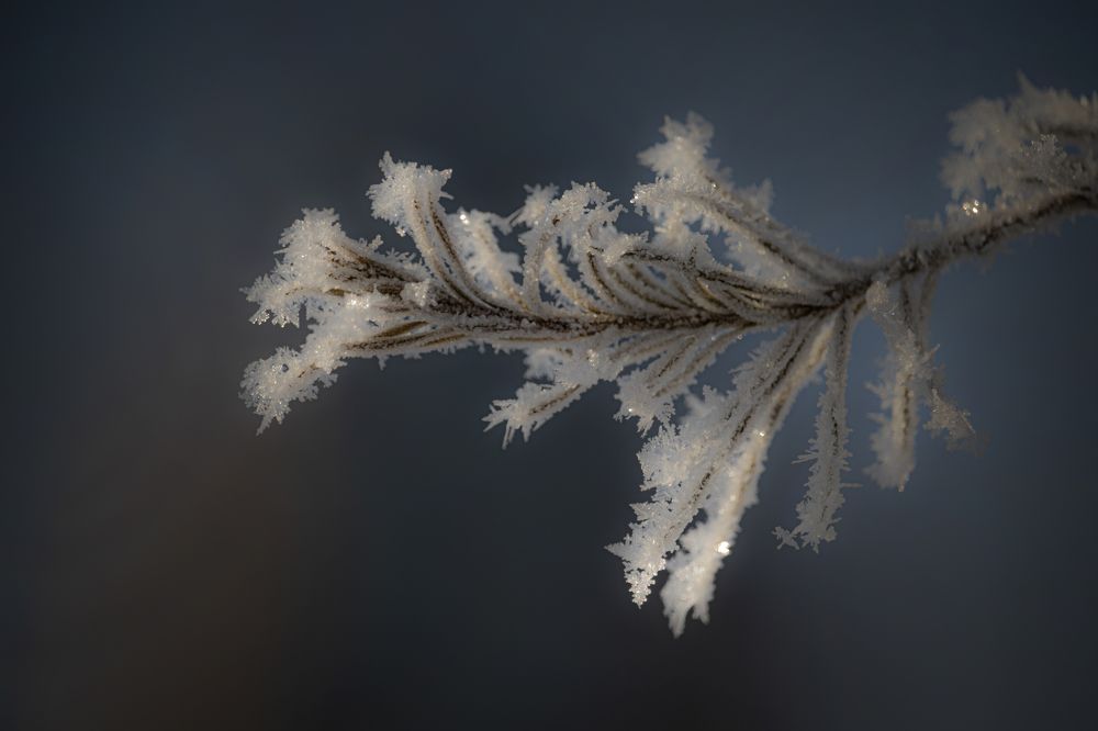 Photograph by Юлия Куликова