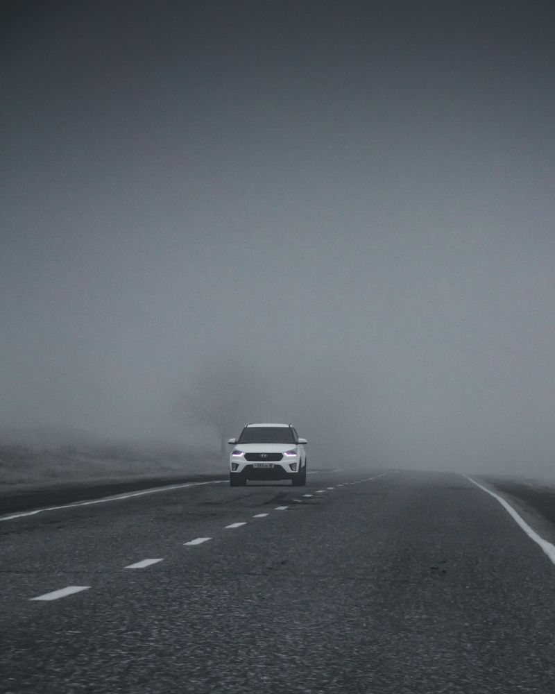 Photograph by Beterhanov SaifuddiN