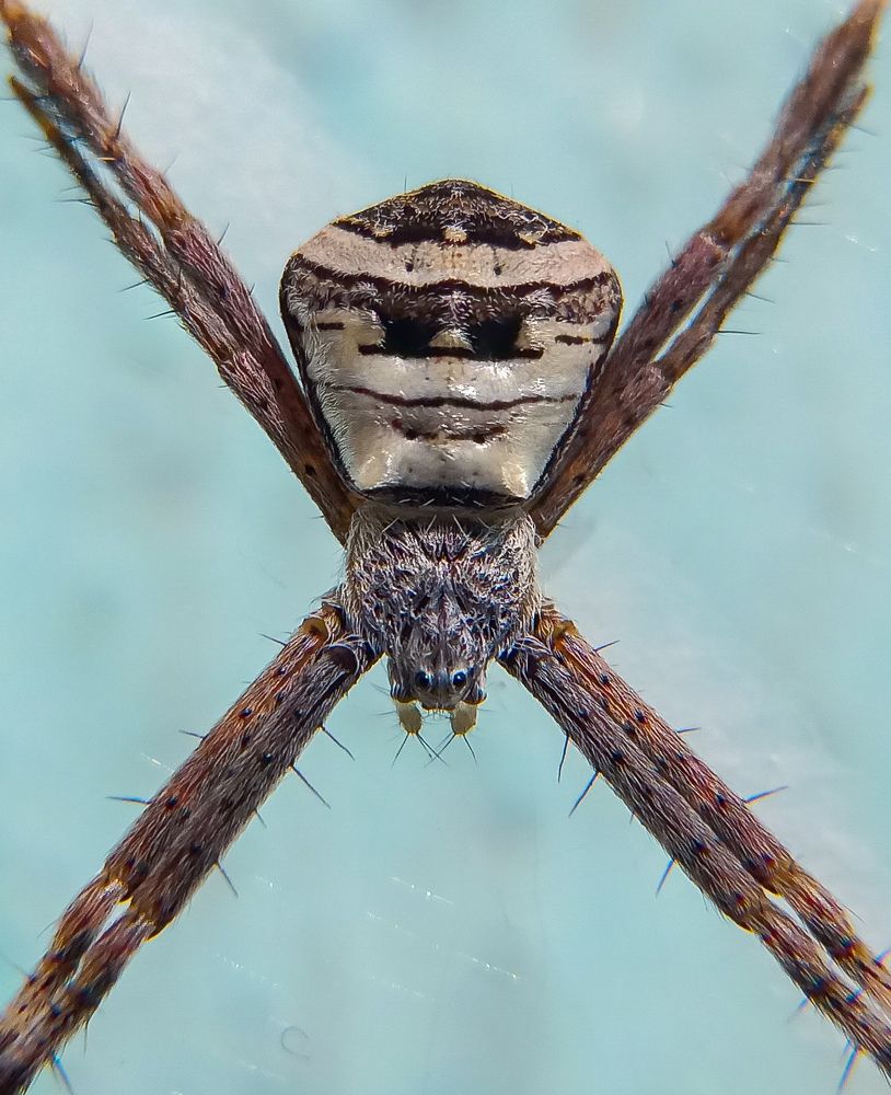 Photograph by Souvik Bhattacharyya