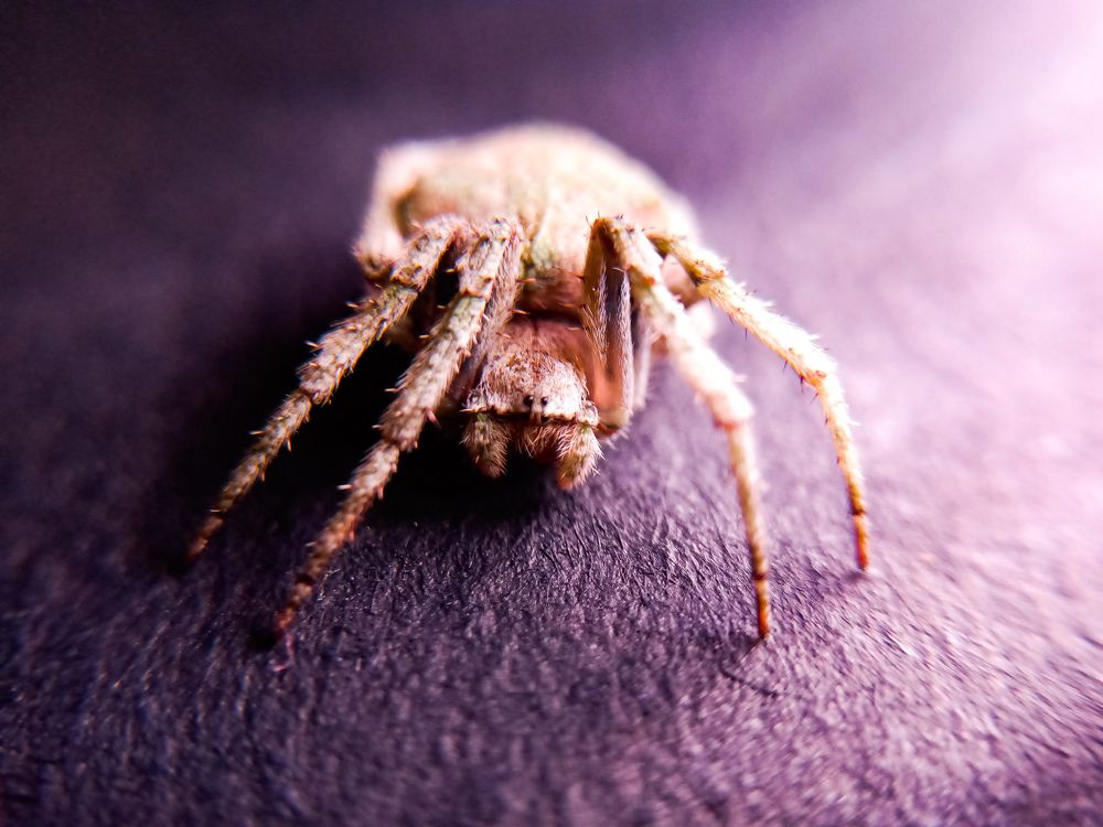 Photograph by Souvik Bhattacharyya