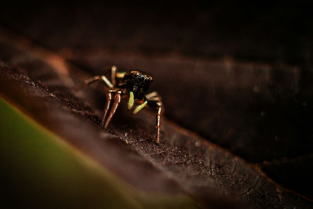 Photograph by Мария Бузыцкая