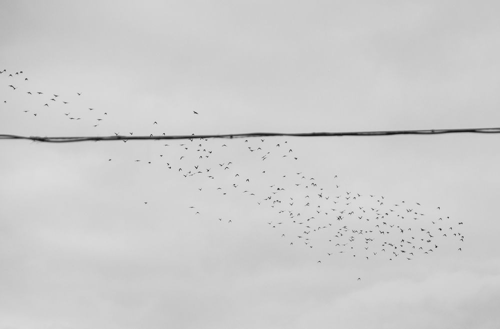 За границу!