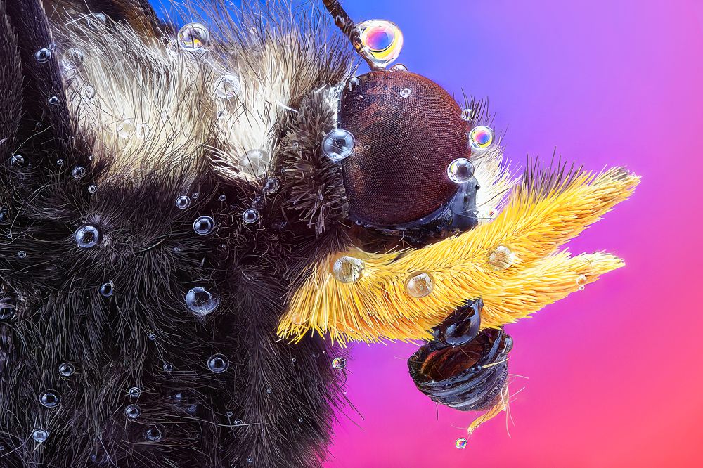 Photograph by Pedro Luis Ajuriaguerra Saiz