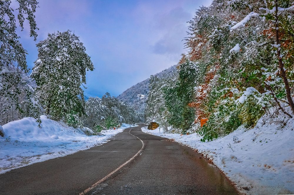 Фотография автора Farhad Alidost