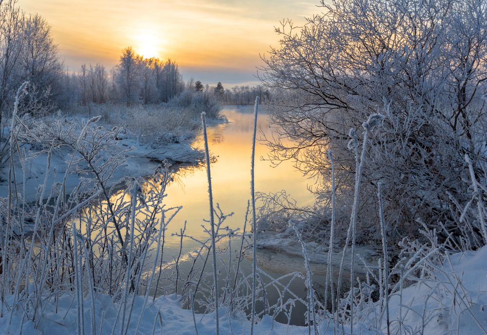 Photograph by Александр Кузнецов