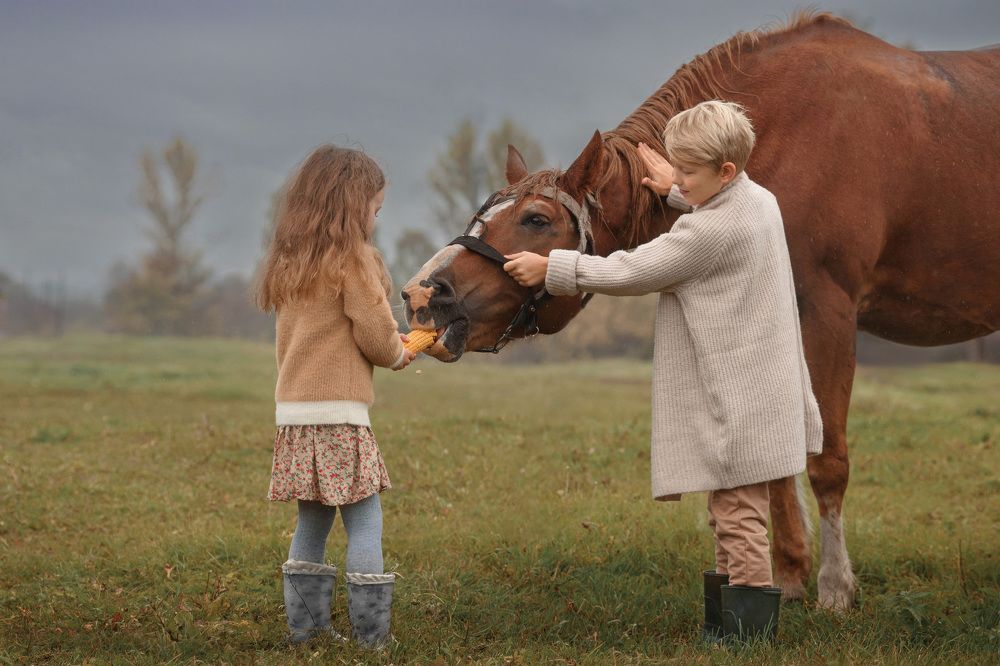 Photograph by Козлова Татьяна