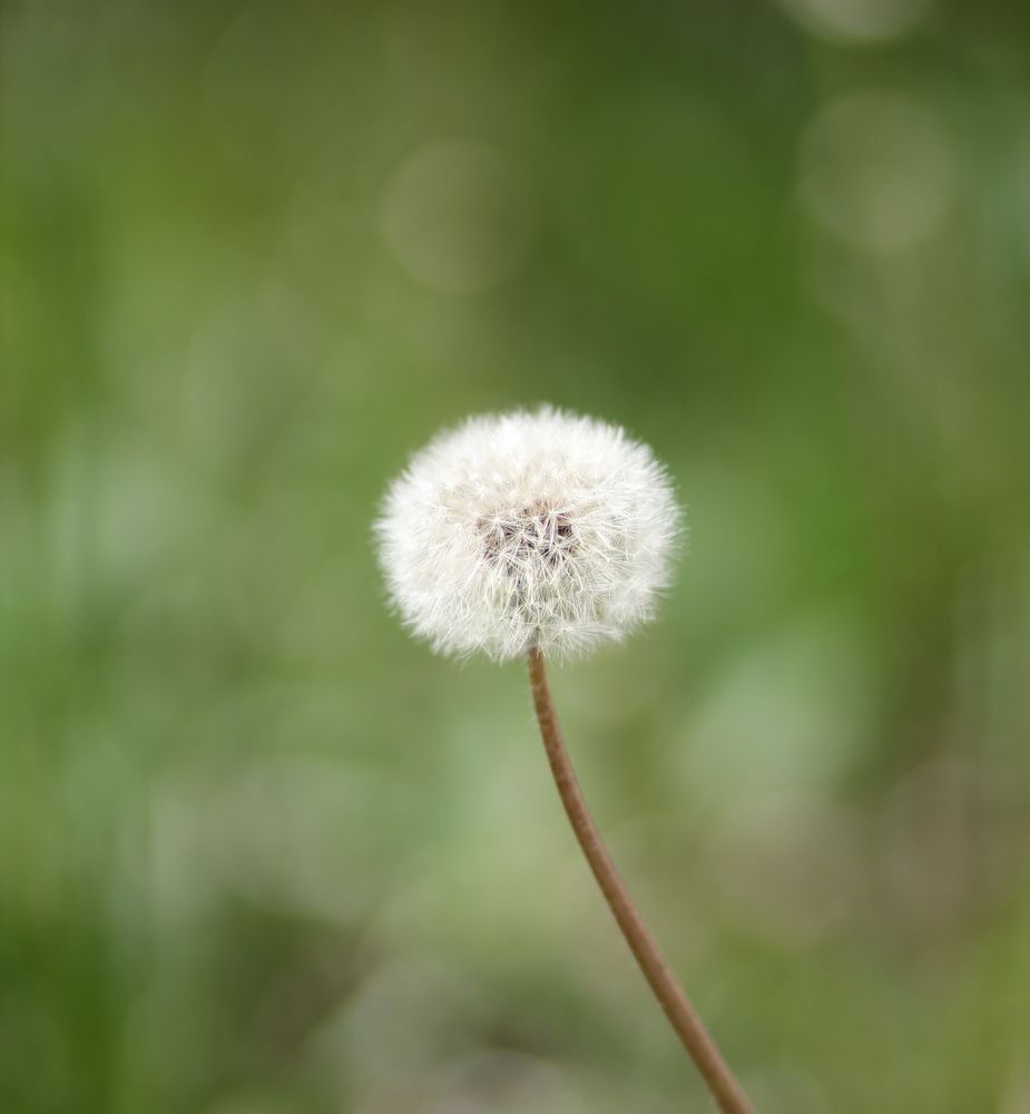 Photograph by Татьяна Леонтьева