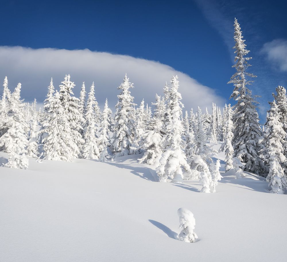 ...А я маленький такой...