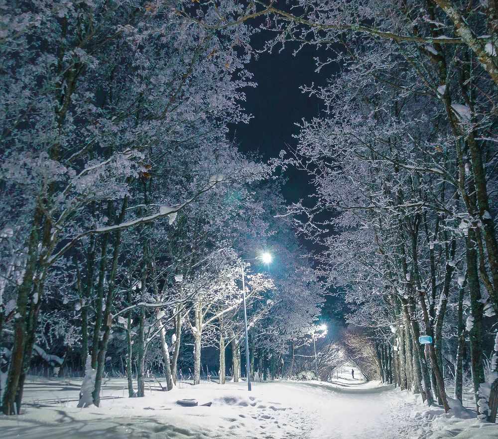 Photograph by Надежда Колеватова