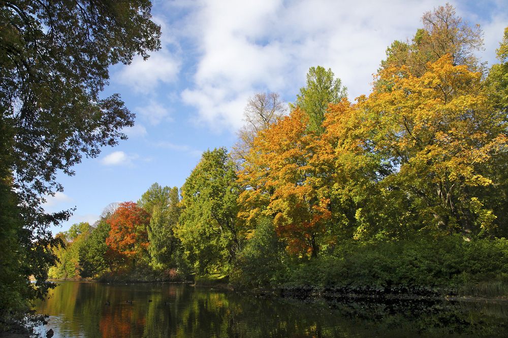 Палитра осени