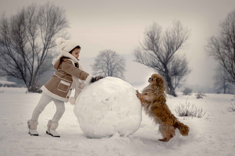 Photograph by Олеся Бучацька