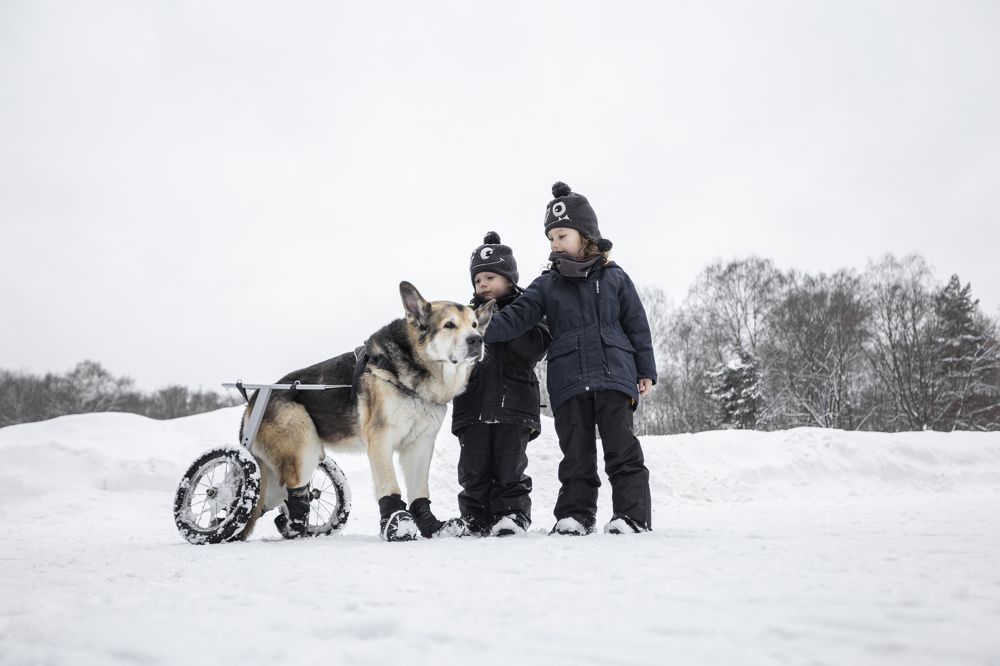 Photograph by Кристина Заря