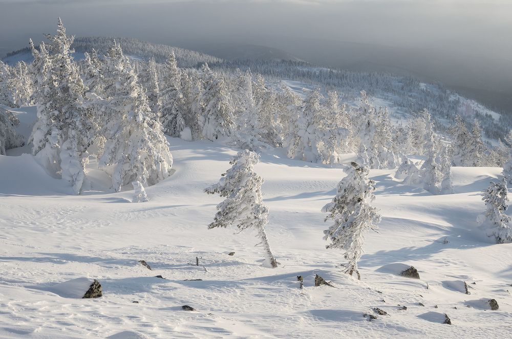 ...Снежный ветер...