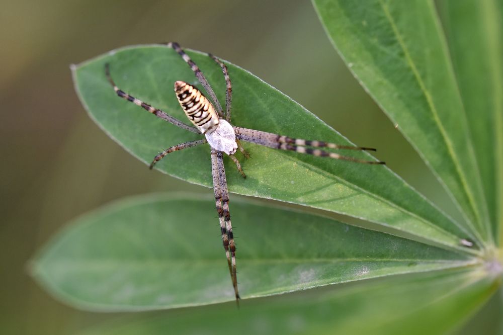 Photograph by fredy86