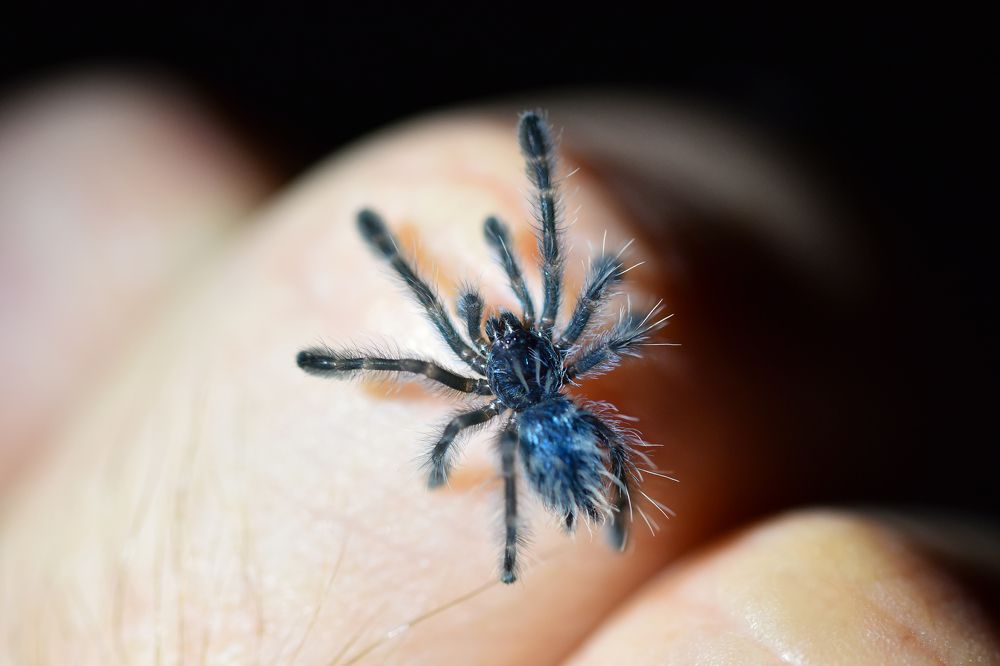 Photograph by fredy86