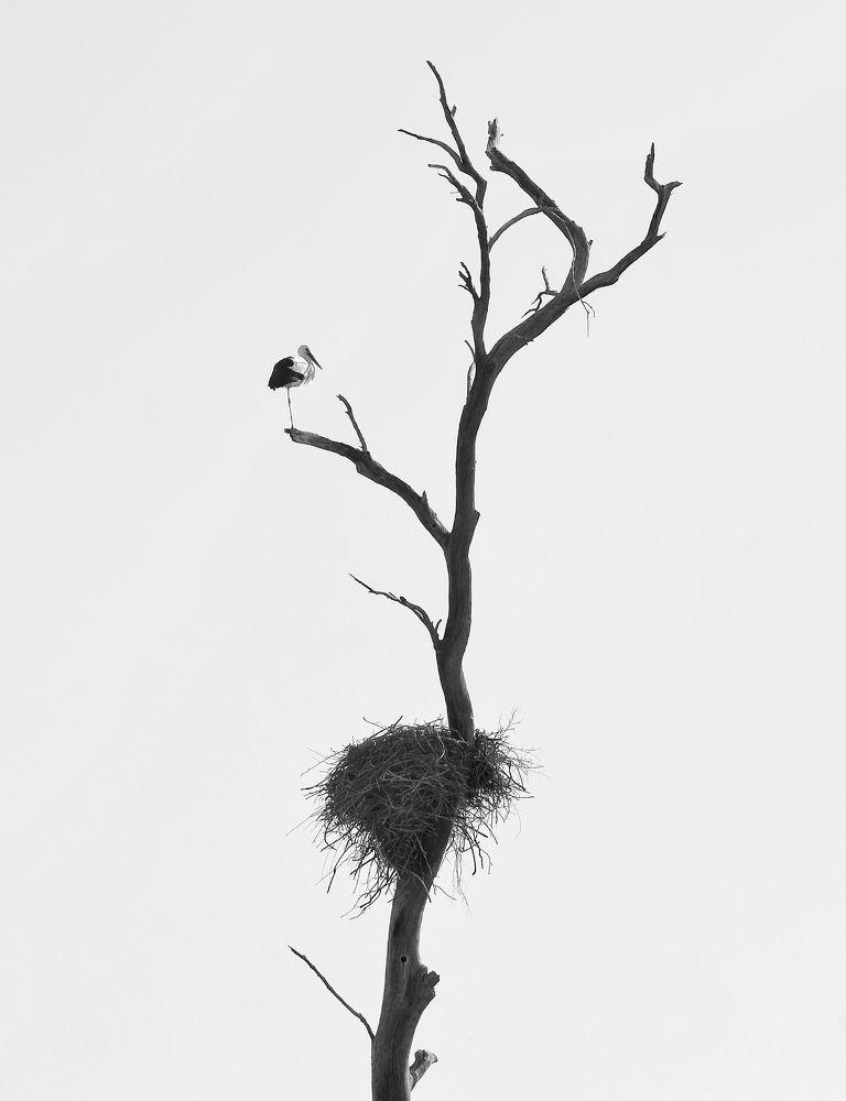 Photograph by Amin Golestanipour