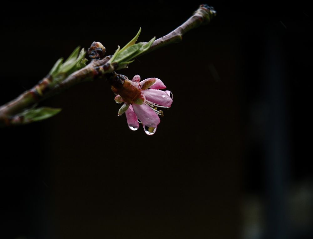 Photograph by Анастасия Денисенко