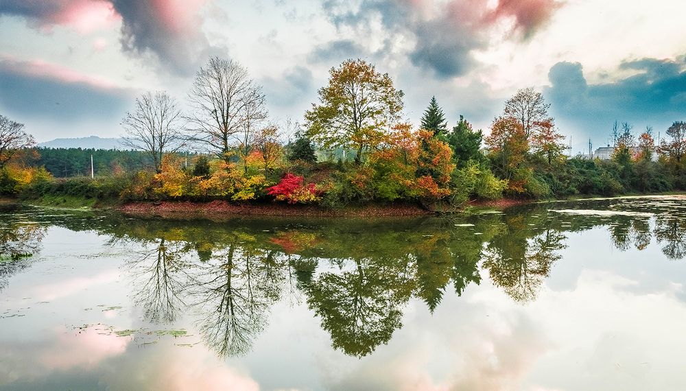 Фотография автора Farhad Alidost