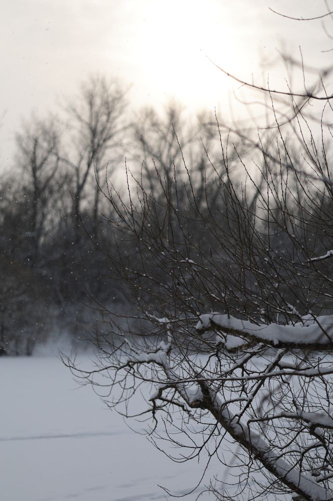 Photograph by Митина-Верижникова Ольга