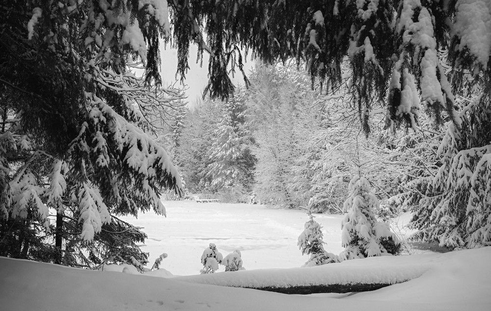 Photograph by Ольга