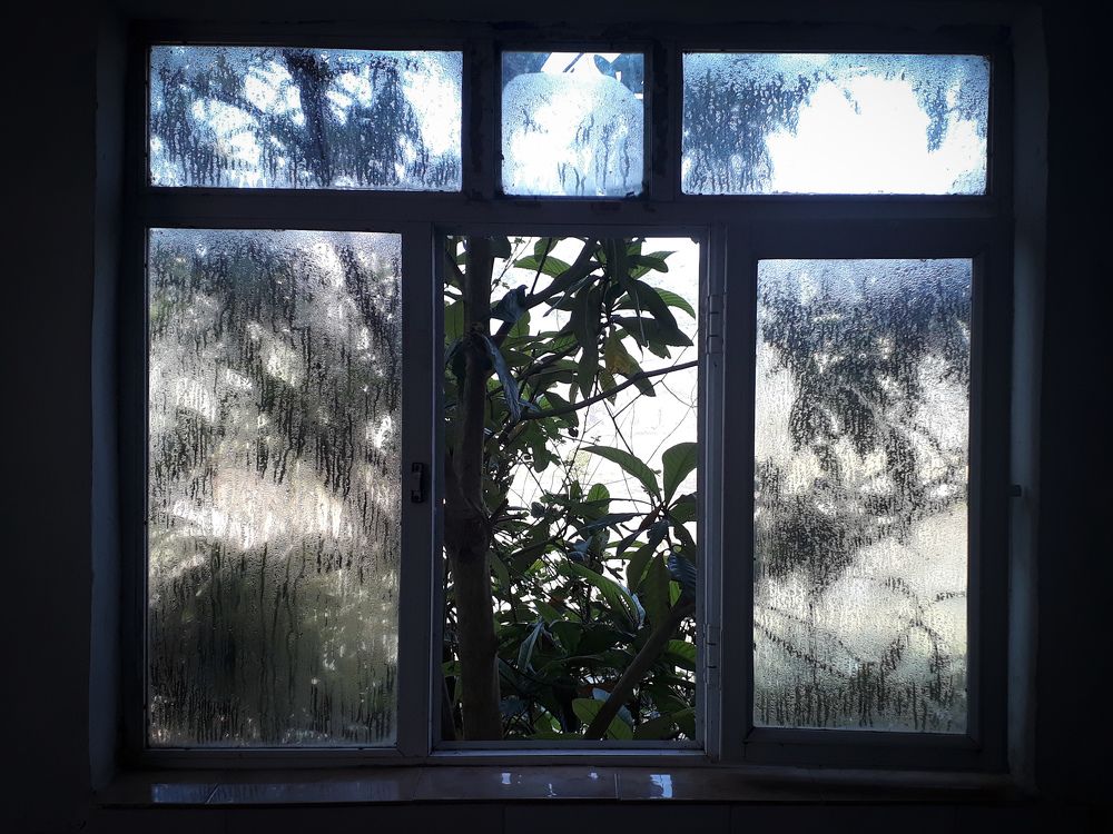 Photograph by Saeed Rezazadeh