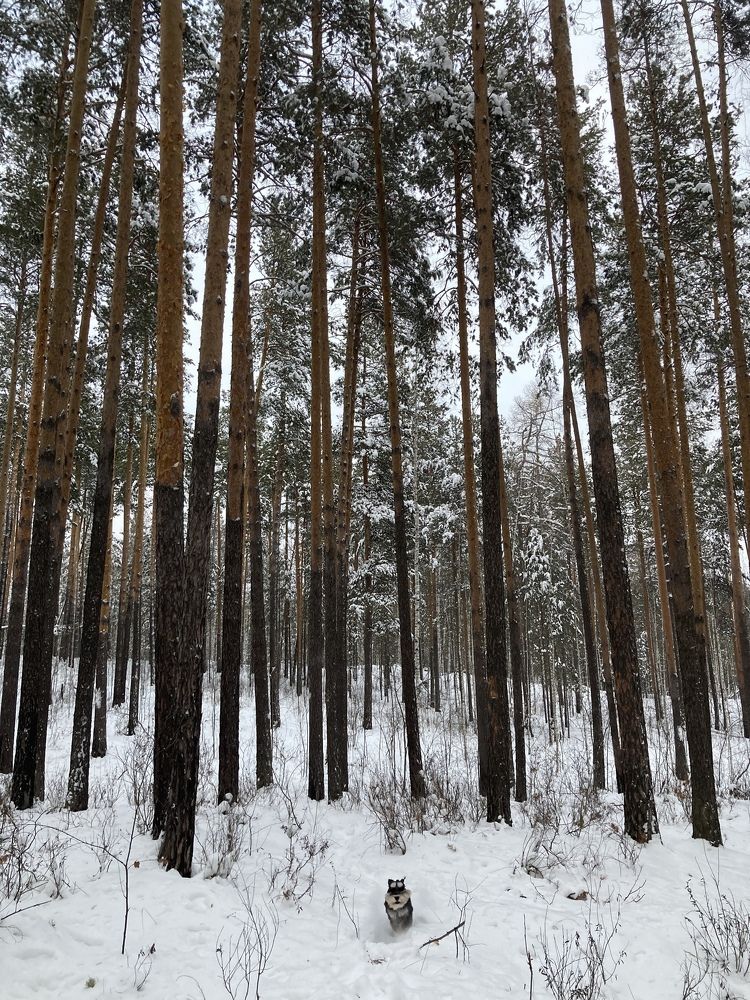Photograph by Olivka Ulyanova