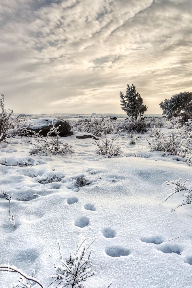 Фотография автора Марина