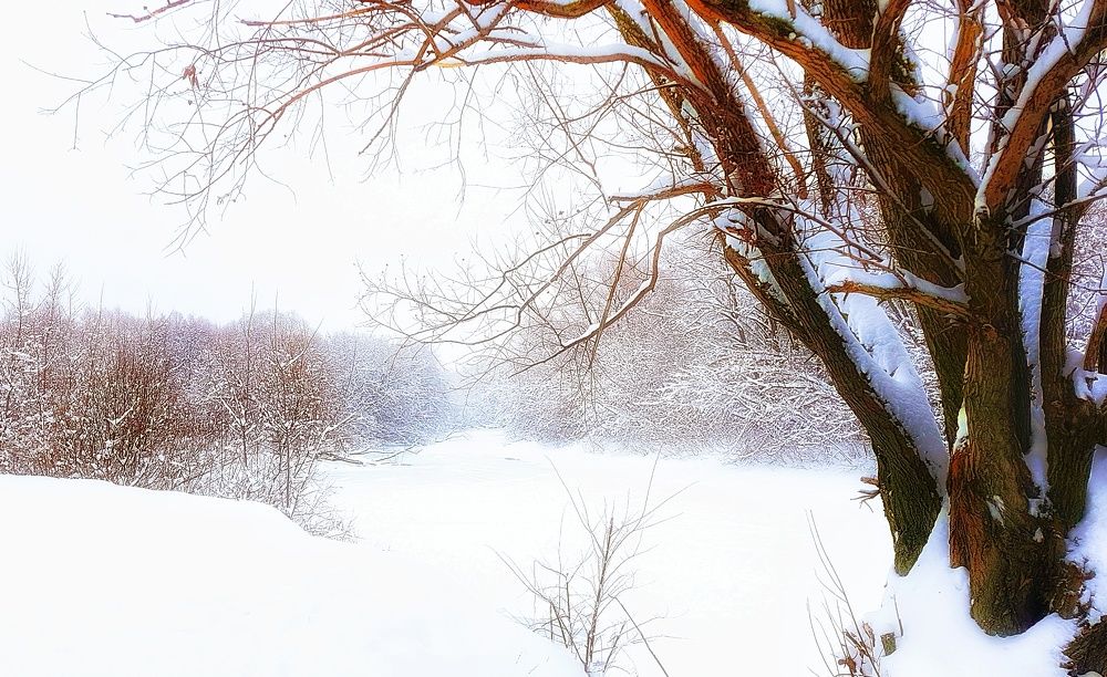 Photograph by Инга Сабанова