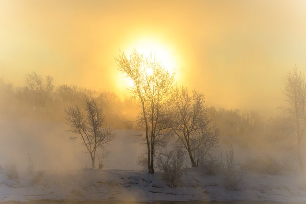 Photograph by Александр Глебов