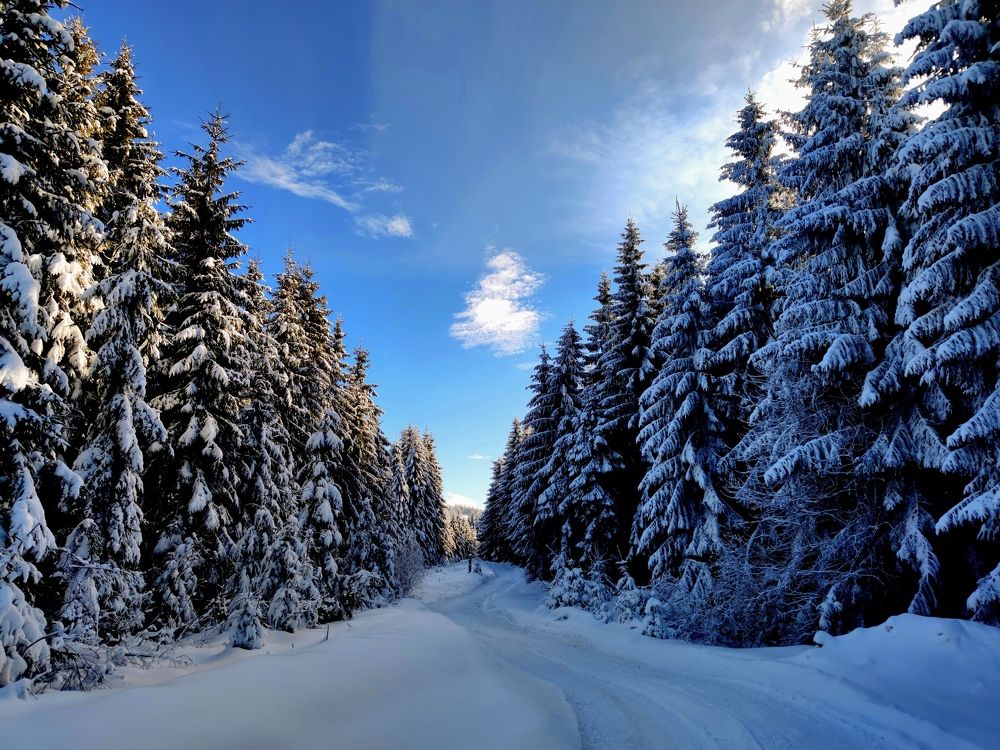 Photograph by Инна Макарчук