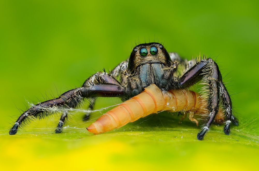 Photograph by Tinh Dang thanh