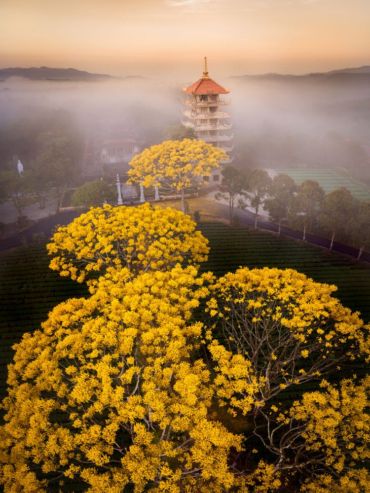 Monastery in misty sunrise
