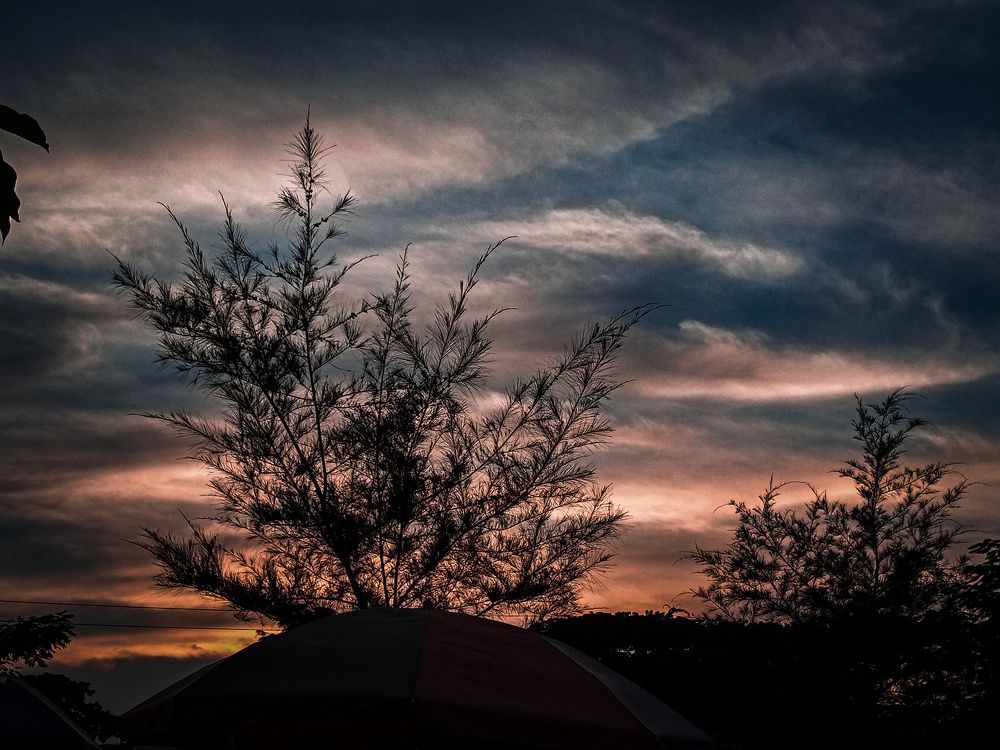 When the sun goes down, another beauty raises