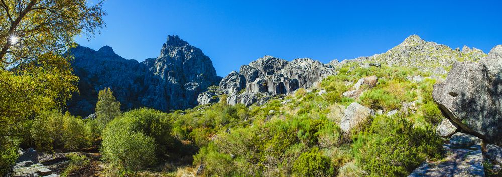 Фотография автора Coimbra Zonov