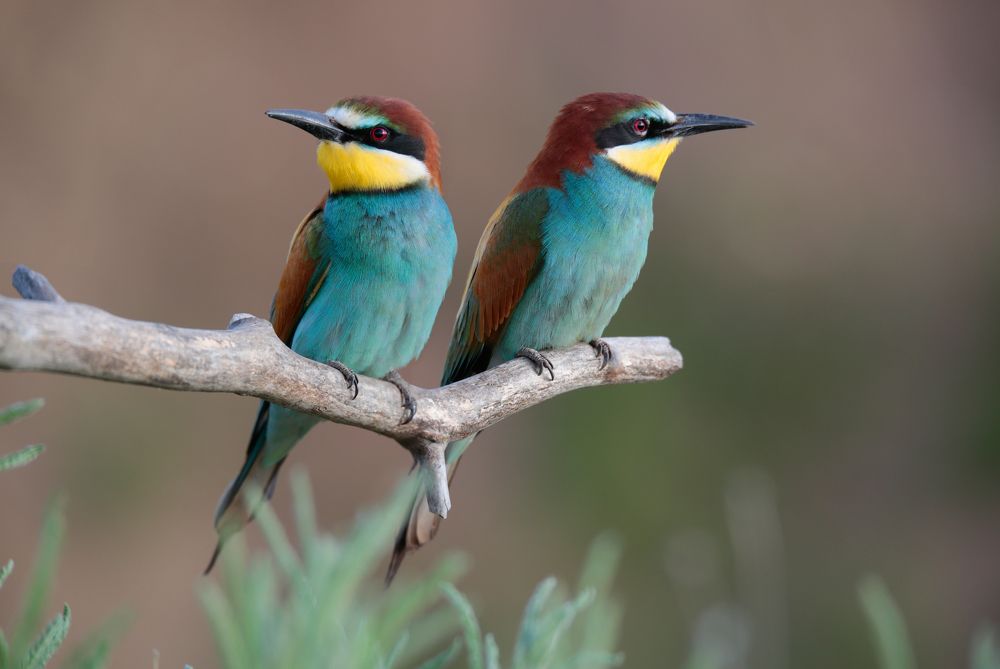 Photograph by Джамалдаев Руслан