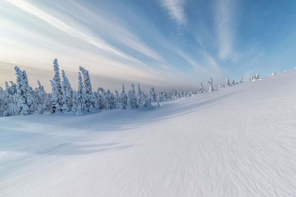 Photograph by Евгений Антонов