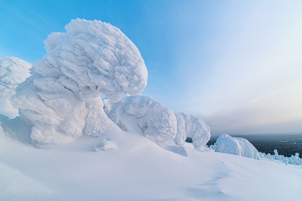 Photograph by Евгений Антонов