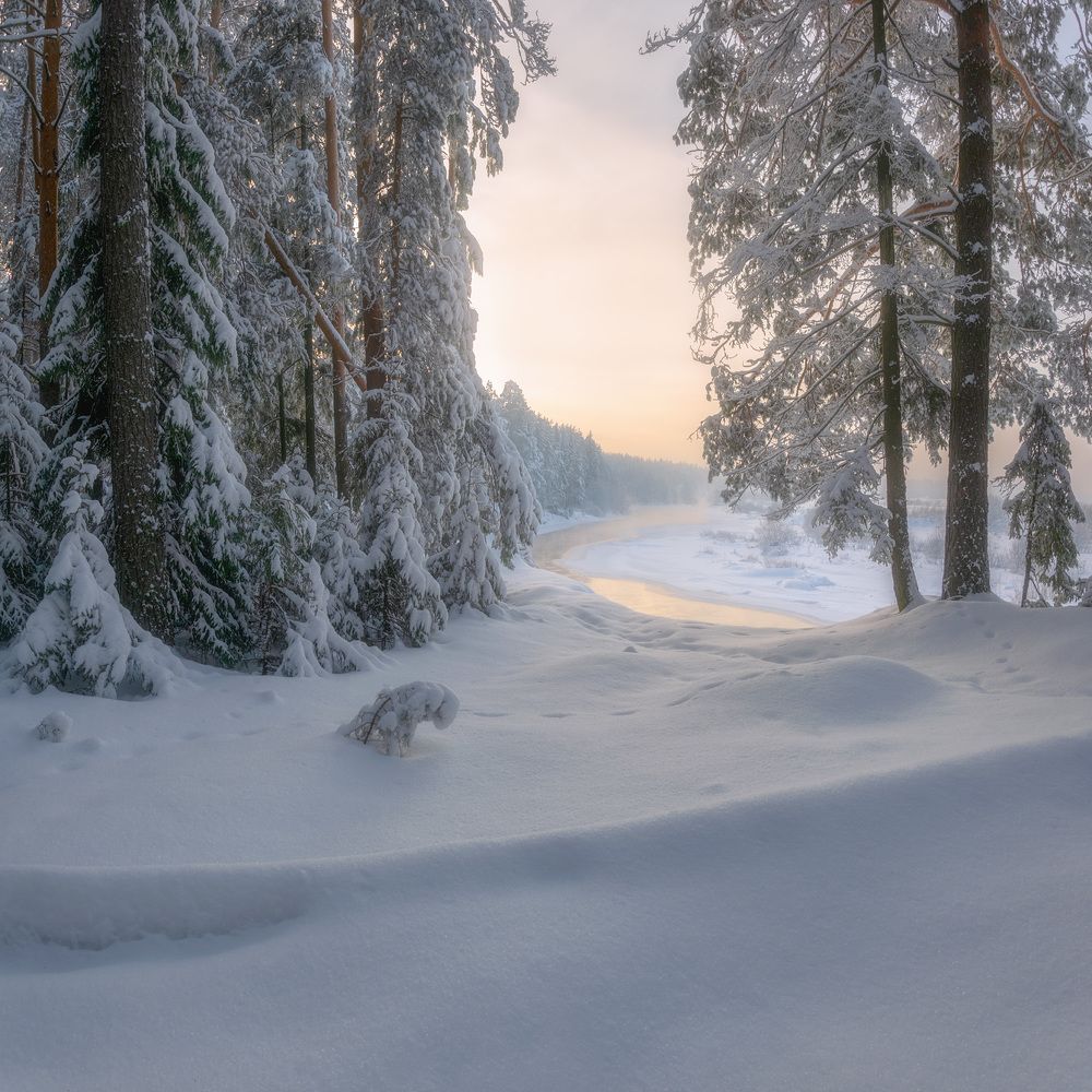 Photograph by Александр Архипкин