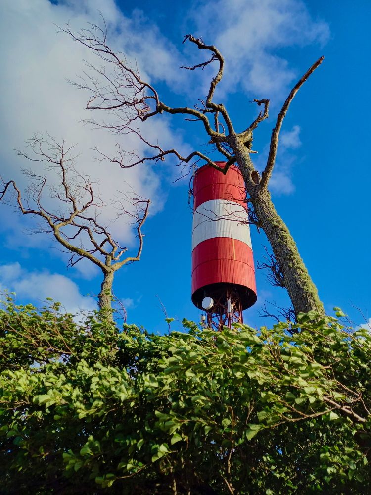 Photograph by Viktoria Vavilkina